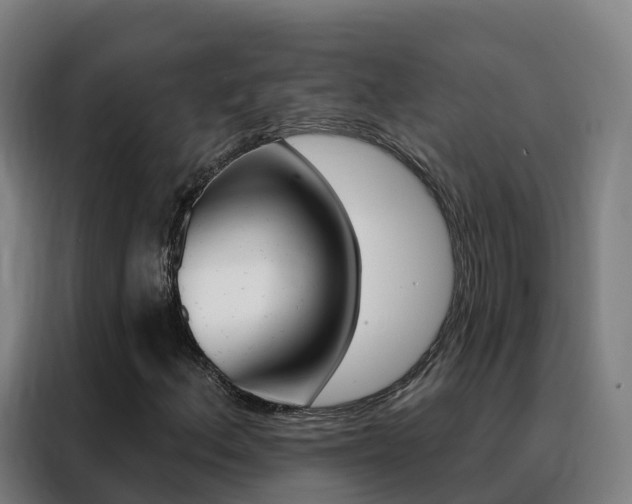 X0000088491156200705221016