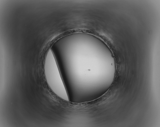 X0000088491159200705221016
