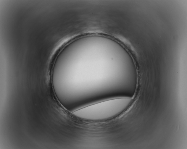 X0000088491167200705221016