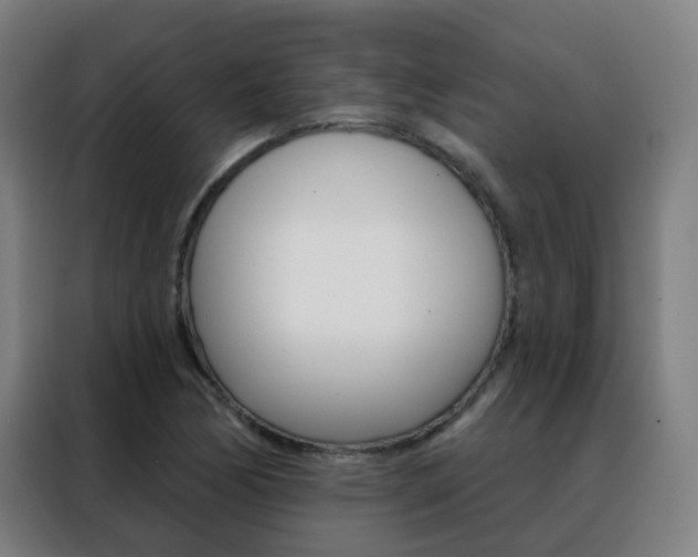 X0000088491170200705221016