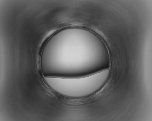 X0000088491171200705221016