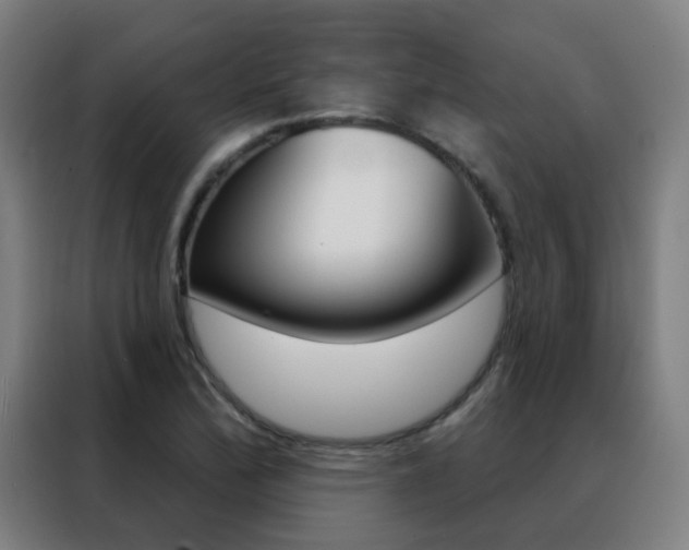 X0000088491172200705221016
