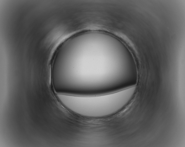 X0000088491175200705221016