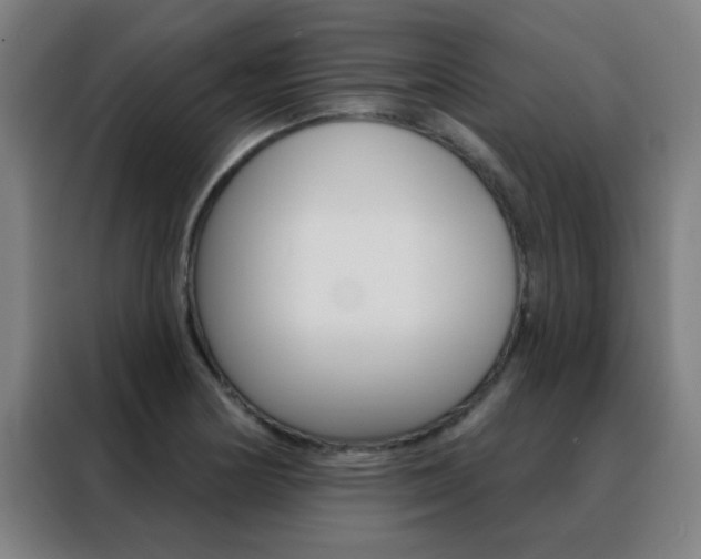 X0000088491178200705221016