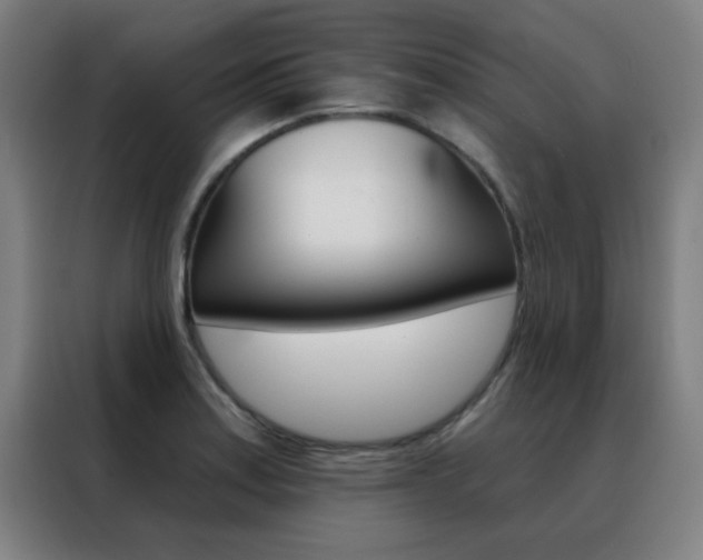 X0000088491179200705221016