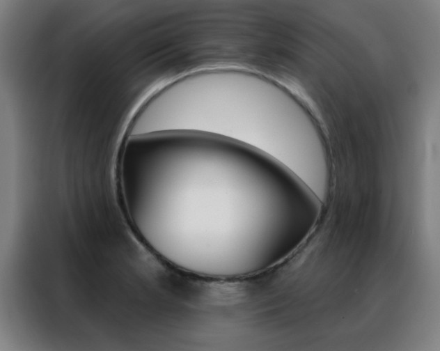 X0000088491181200705221016