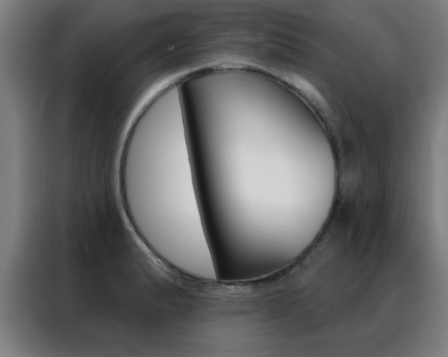 X0000088491183200705221016