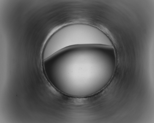 X0000088491184200705221016