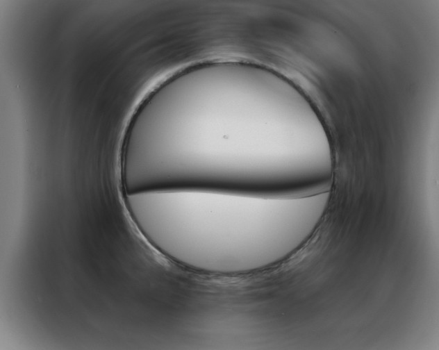 X0000088491191200705221016