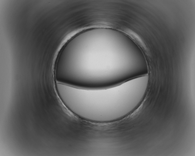 X0000088491192200705221015