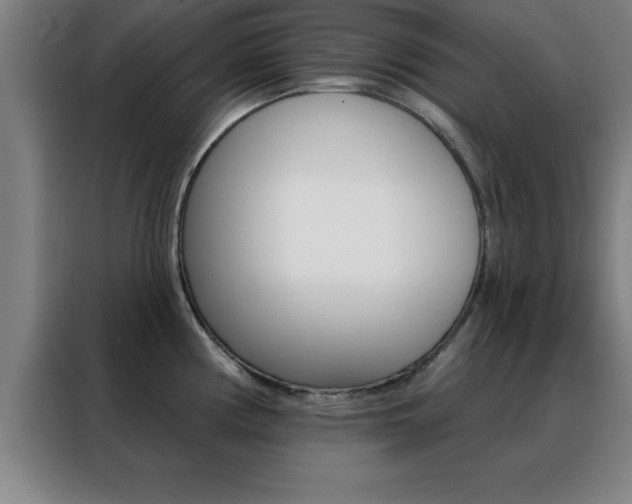 X0000088491194200705221015