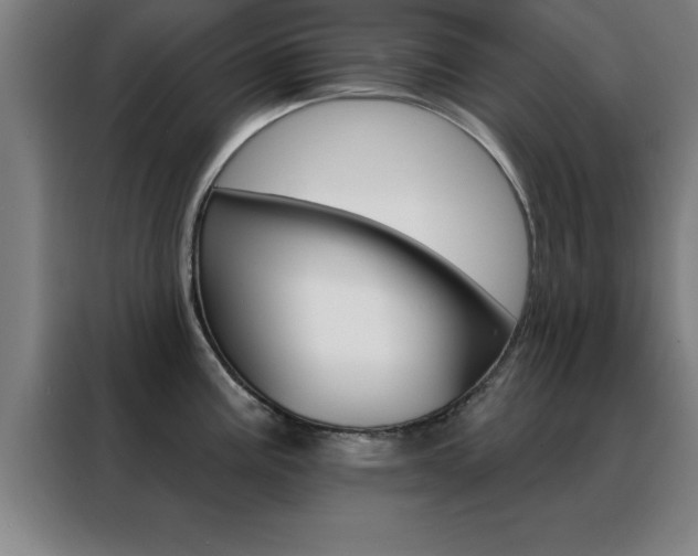 X0000088491195200705221015