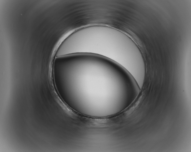 X0000088491196200705221015