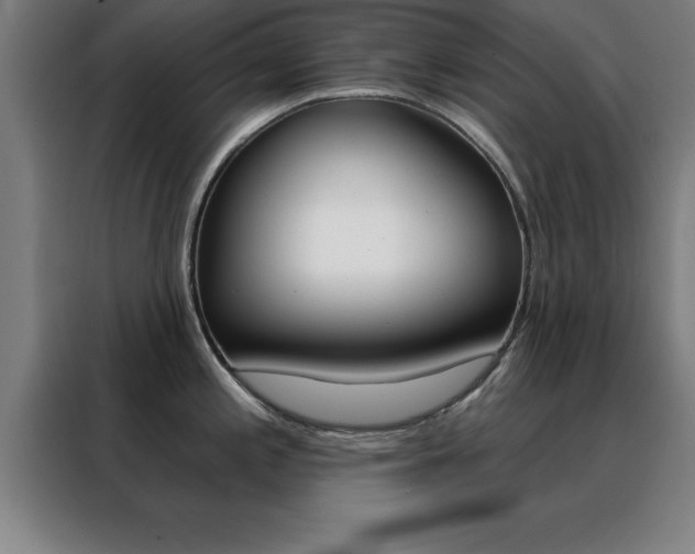 X0000088491197200705221015