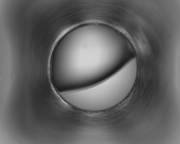 X0000088491199200705221015