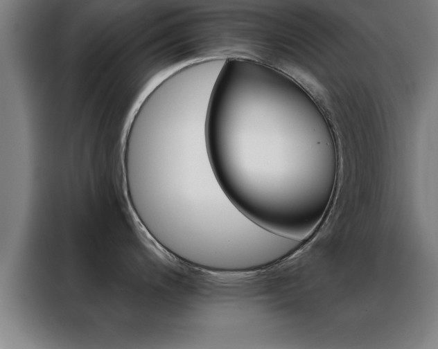 X0000088491200200705221015