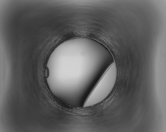 X0000088491201200705221015
