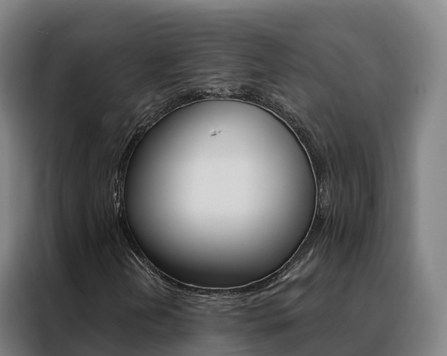 X0000088491202200705221015