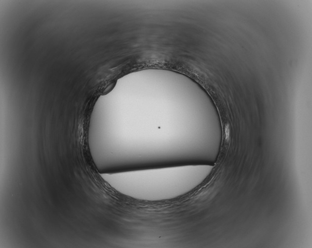 X0000088491203200705221015