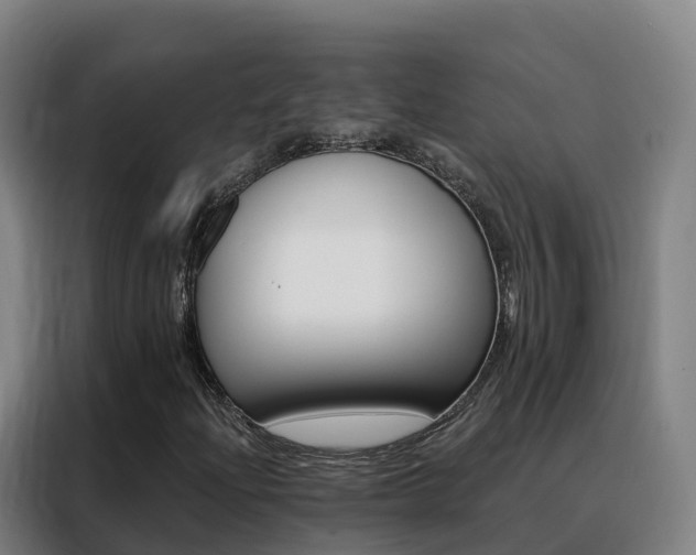 X0000088491204200705221015