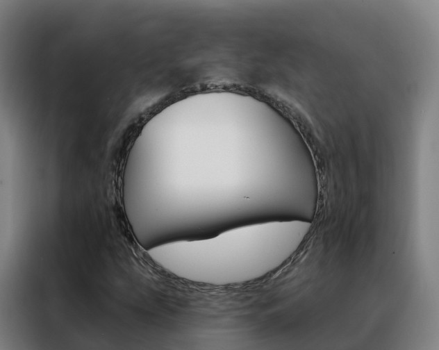 X0000088491207200705221015