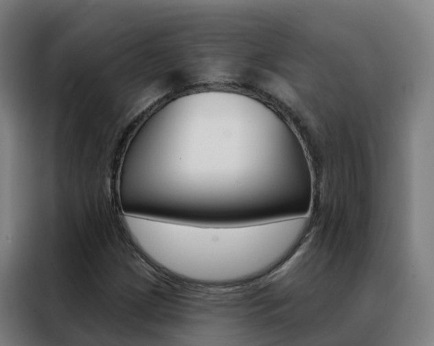 X0000088491209200705221015