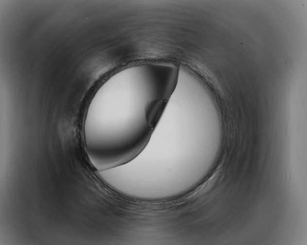 X0000088491210200705221015
