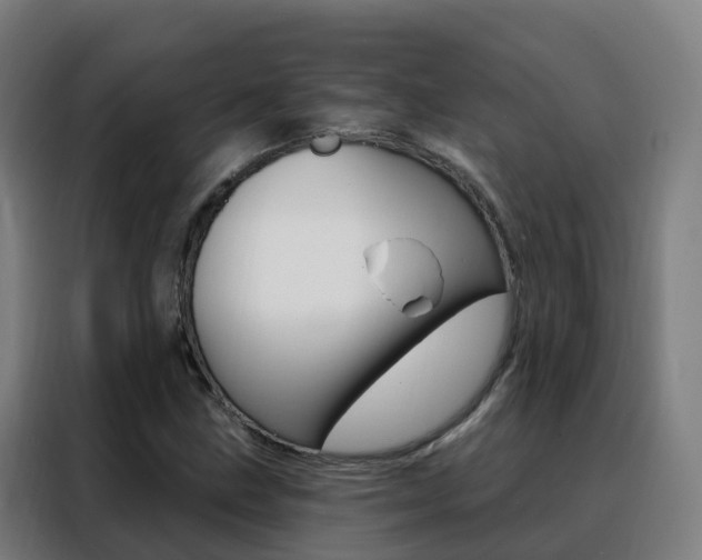 X0000088491211200705221015