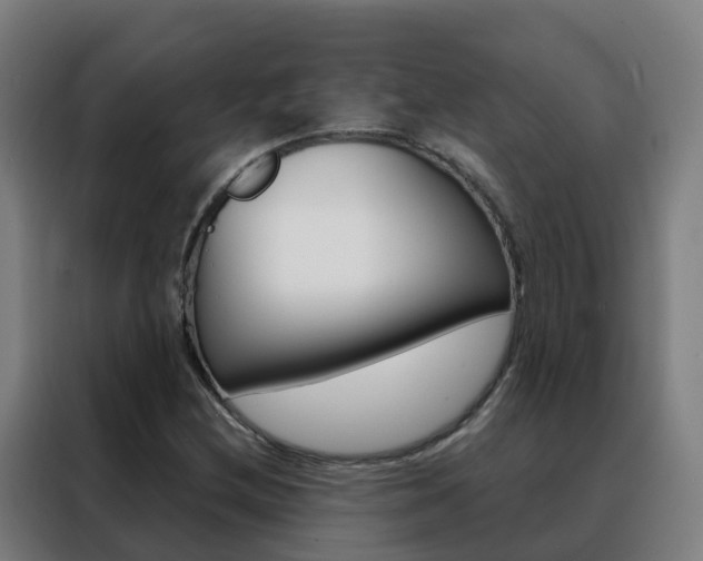 X0000088491212200705221015