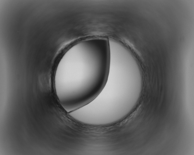 X0000088491214200705221015