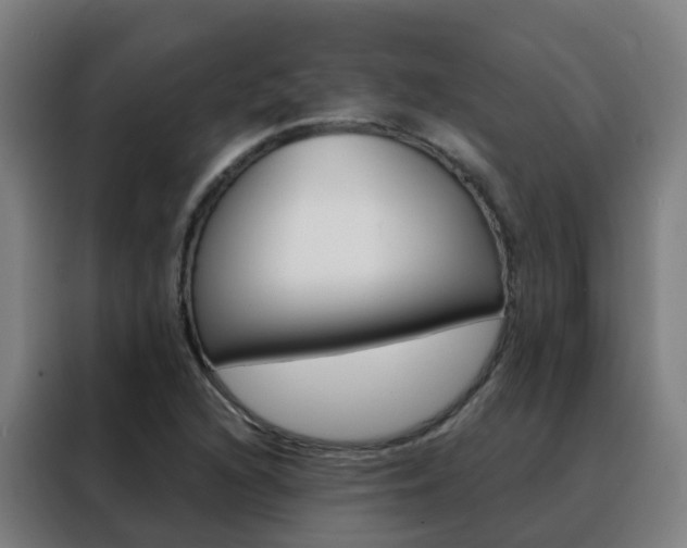 X0000088491216200705221015