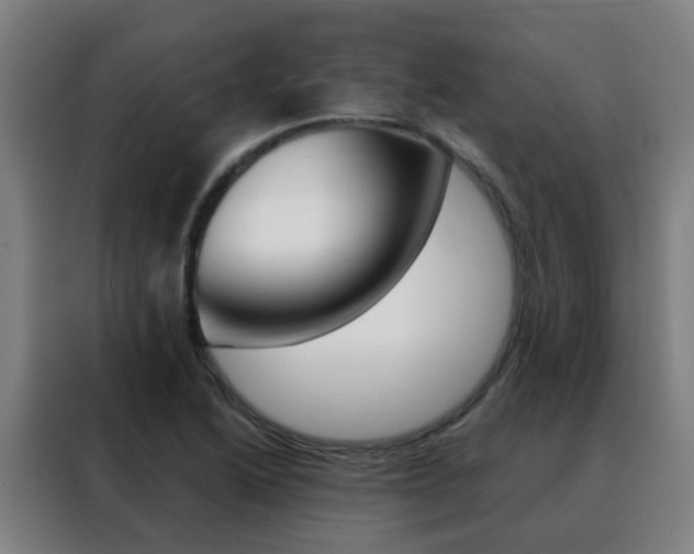 X0000088491222200705221015