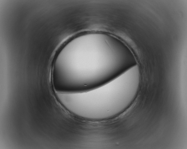 X0000088491224200705221015