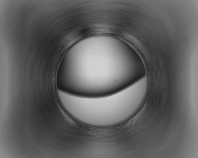 X0000088491225200705221015