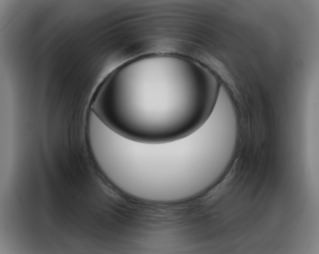 X0000088491226200705221015