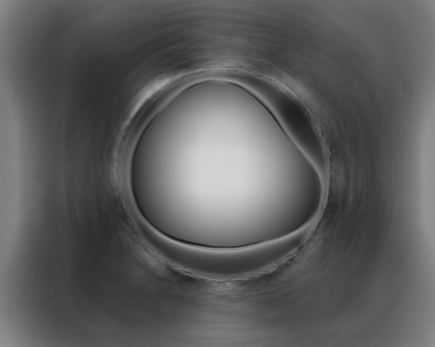 X0000088491230200705221015