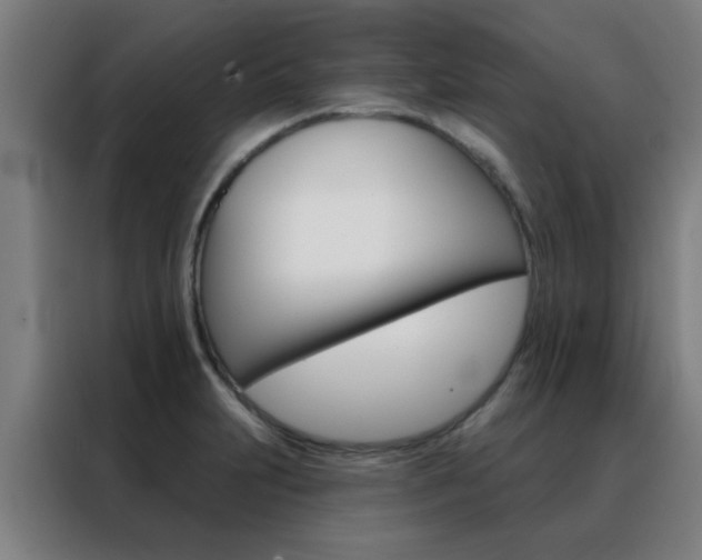 X0000088491231200705221015
