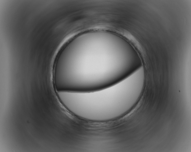 X0000088491232200705221015
