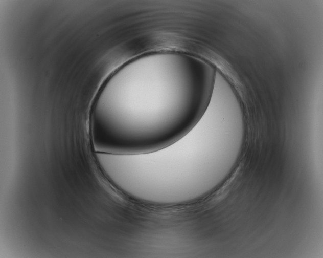 X0000088491234200705221015