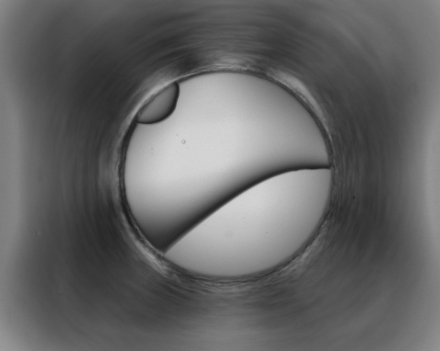 X0000088491235200705221015