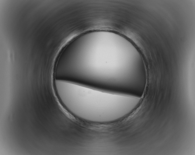 X0000088491237200705221015