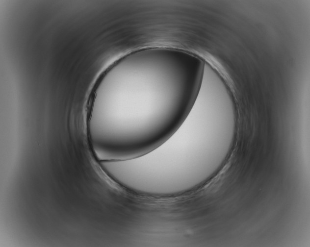 X0000088491238200705221015