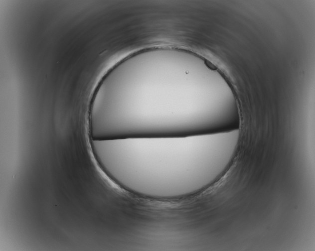 X0000088491239200705221015