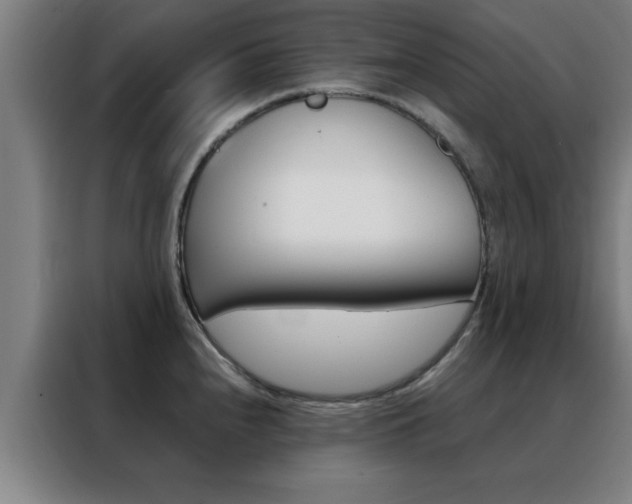 X0000088491240200705221015