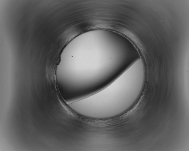X0000088491241200705221015