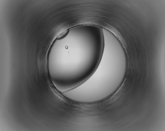 X0000088491242200705221015