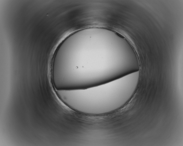 X0000088491243200705221015