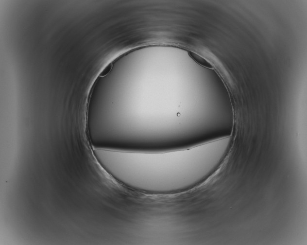 X0000088491244200705221015