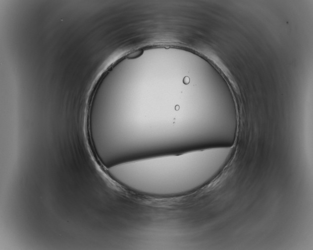 X0000088491245200705221015