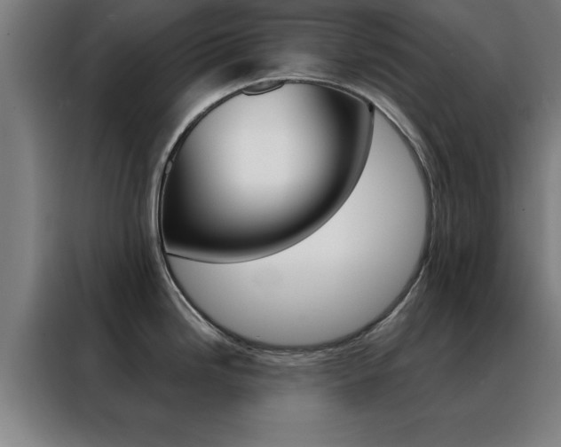 X0000088491246200705221015